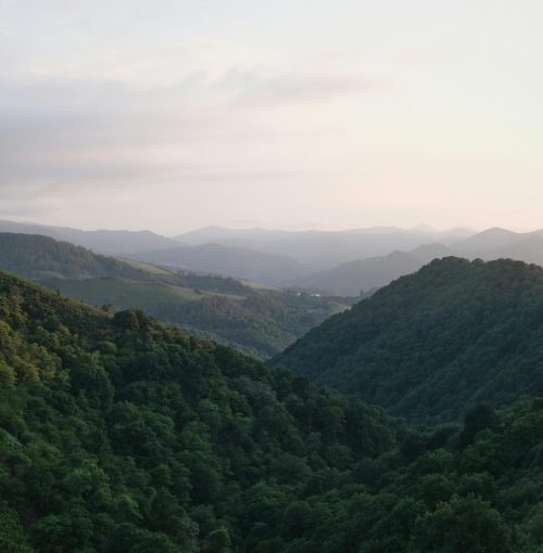 Serene landscape of lush green hills in Nouvelle-Aquitaine, France during daytime.