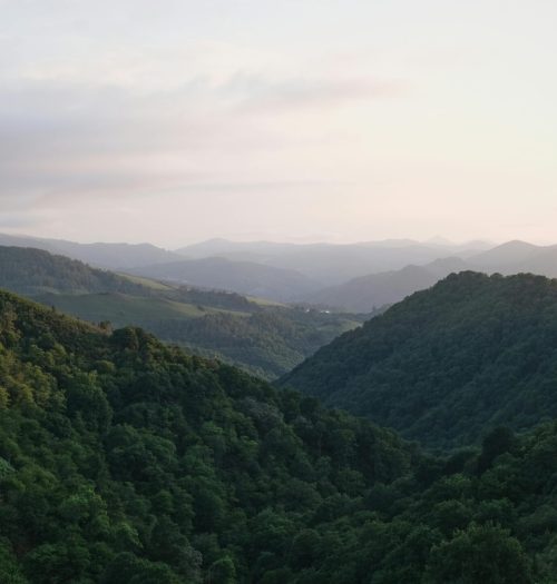 pexels-photo-10725550-10725550 Serene landscape of lush green hills in Nouvelle-Aquitaine, France during daytime.