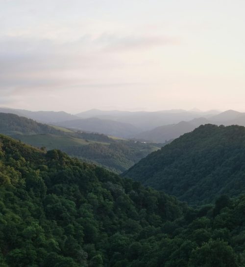 Serene landscape of lush green hills in Nouvelle-Aquitaine, France during daytime.